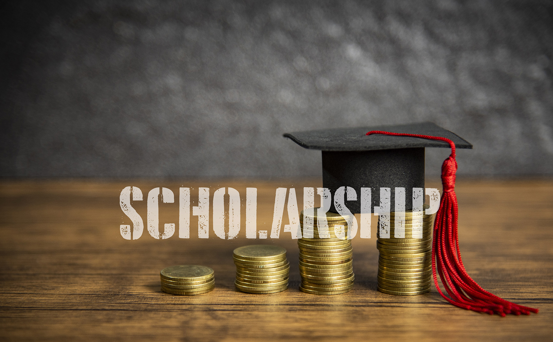 How Do Student Loans Work?